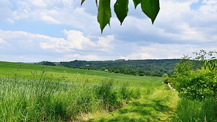 Prodej stavebního pozemku 1 515 m², Dlouhá Loučka