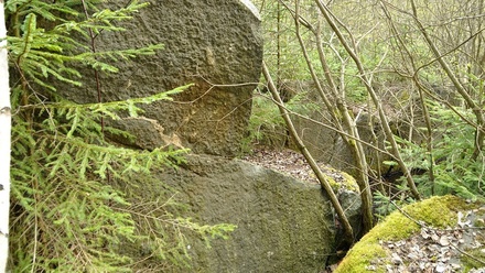 Prodej specifického pozemku 19 816 m², Chodová Planá