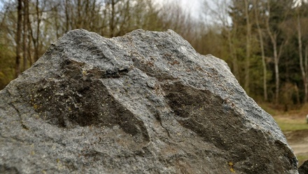 Prodej specifického pozemku 19 816 m², Chodová Planá