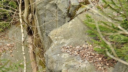 Prodej specifického pozemku 19 816 m², Chodová Planá