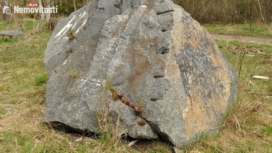 Prodej specifického pozemku 19 816 m², Chodová Planá