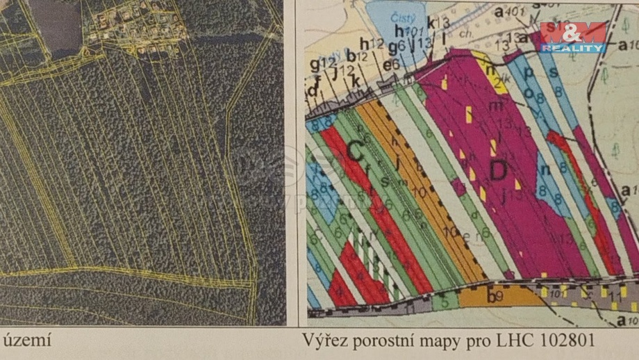 Prodej lesa 7 844 m², Lužná