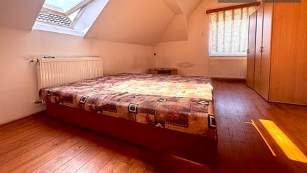 Prodej rodinného domu 350 m², Bor - Ostrov