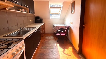 Prodej rodinného domu 350 m², Bor - Ostrov