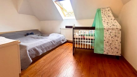 Prodej rodinného domu 350 m², Bor - Ostrov