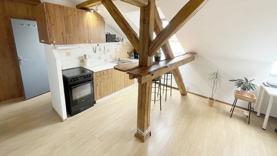 Pronájem bytu 1+kk 33 m², Plzeň 3