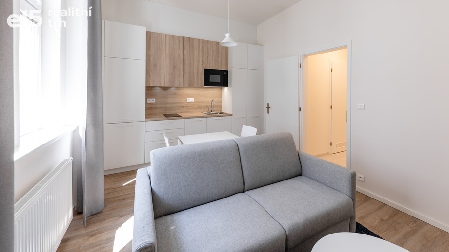 Pronájem bytu 1+kk 28 m², Praha - Holešovice