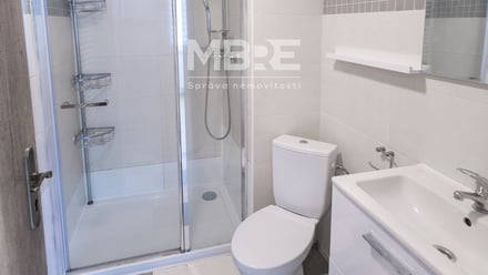 Pronájem bytu 3+1 79 m², Horní Město - Skály
