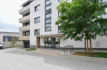 Pronájem bytu 2+kk 45 m², Praha - Vinohrady