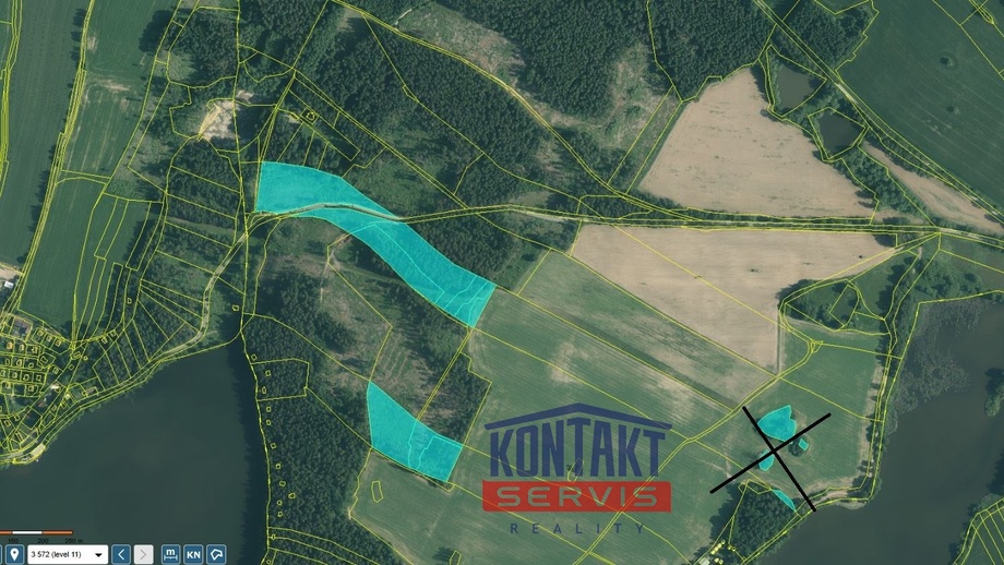 Prodej lesa 43 683 m², Střížovice - Vlčice