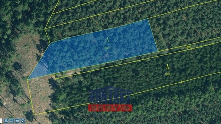Prodej lesa 16 790 m², Kožlany - Hodyně