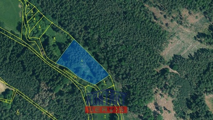 Prodej lesa 16 790 m², Kožlany - Hodyně