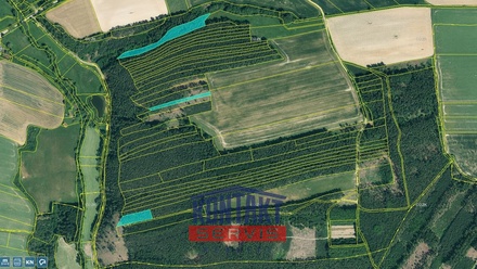 Prodej lesa 16 790 m², Kožlany - Hodyně