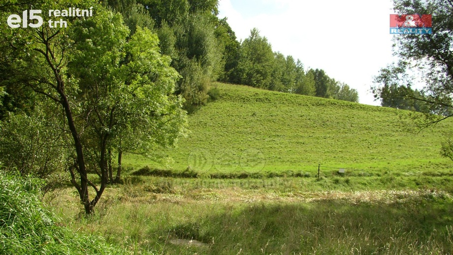 Prodej louky 2 494 m², Janův Důl