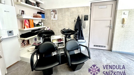 Pronájem obchodního prostoru 25 m², Mladá Boleslav II
