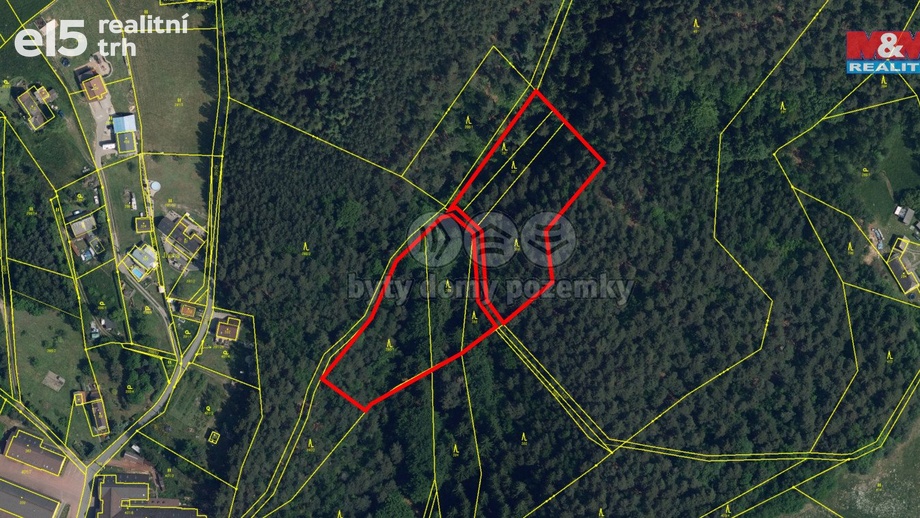 Prodej lesa 5 461 m², Mírová pod Kozákovem