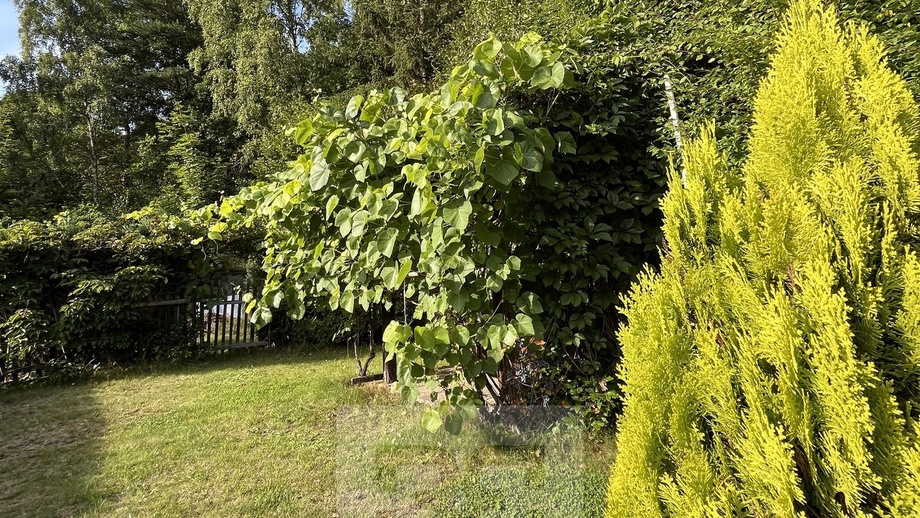 Pronájem bytu 2+1 56 m², Březová