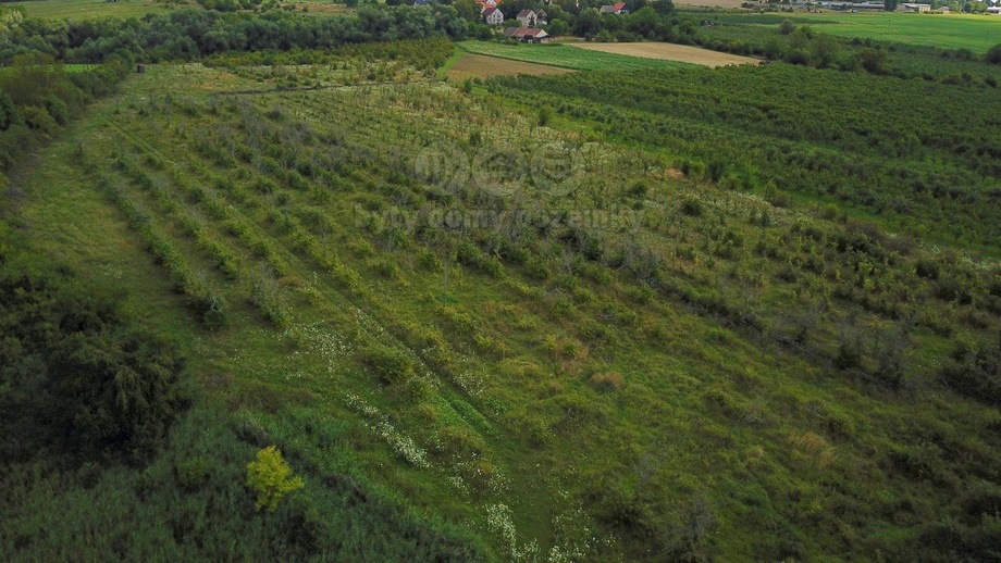 Prodej pole 25 918 m², Liběšice
