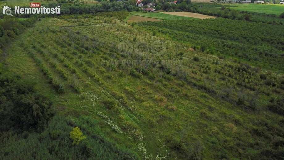 Prodej pole 25 918 m², Liběšice