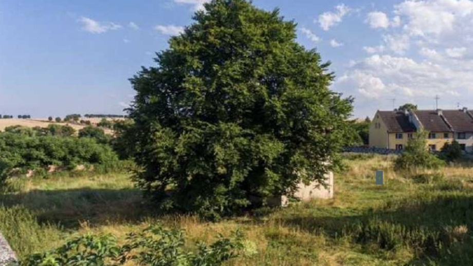 Dražby stavebního pozemku 5 979 m², Výšovice