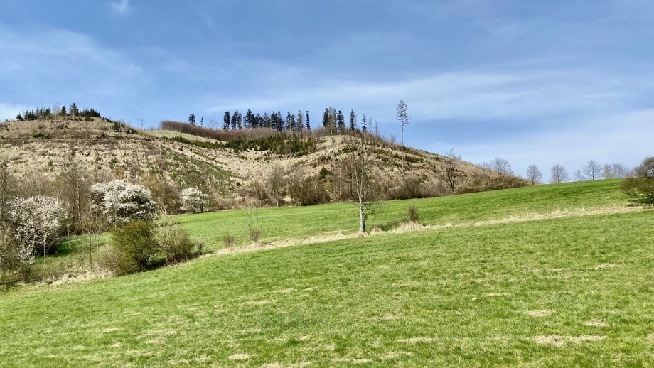 Prodej louky 4 851 m², Rajnochovice