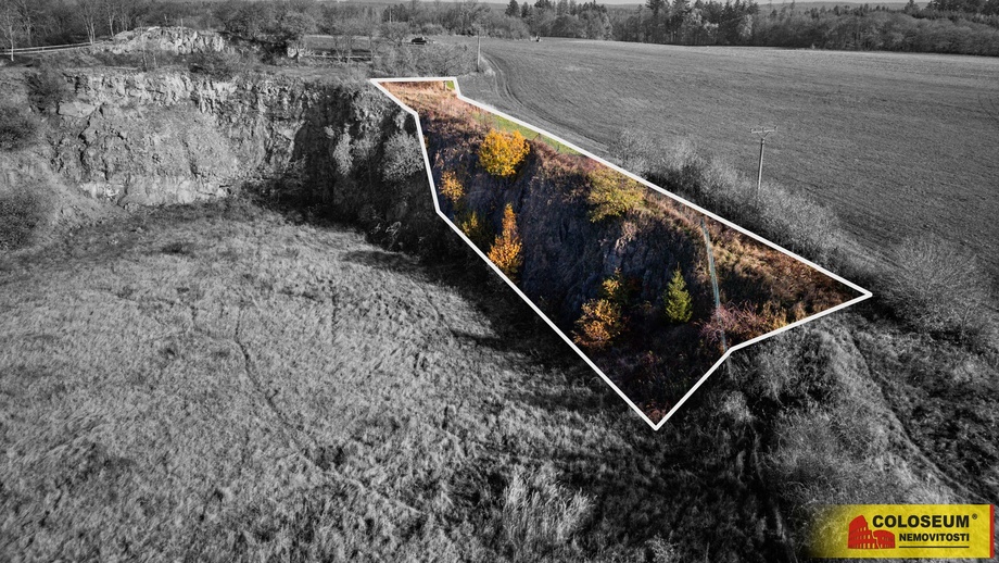 Prodej specifického pozemku 1 036 m², Šošůvka
