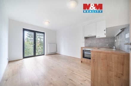 Pronájem bytu 1+kk 32 m², Třemošná