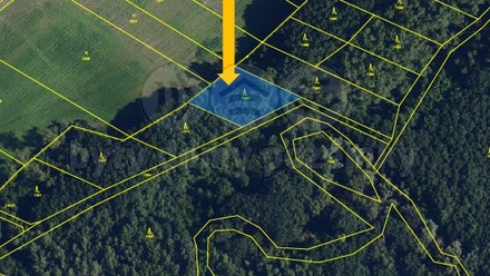 Prodej pole 7 091 m², Hrabětice