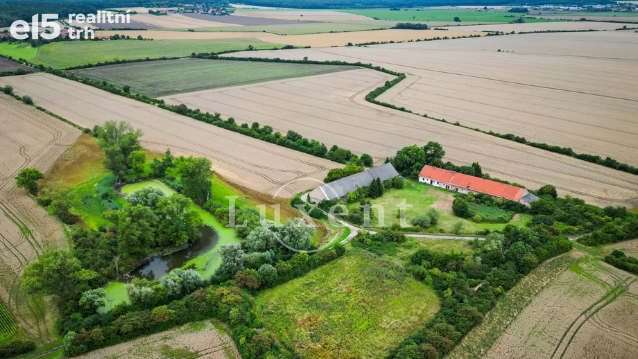 Prodej zemědělské usedlosti 600 m², Běrunice - Vlkov nad Lesy