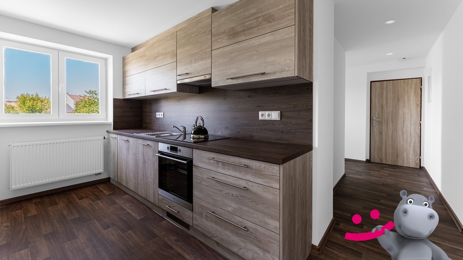 Pronájem bytu 1+1 47 m², Holešov