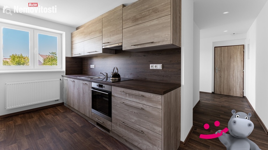 Pronájem bytu 1+1 47 m², Holešov