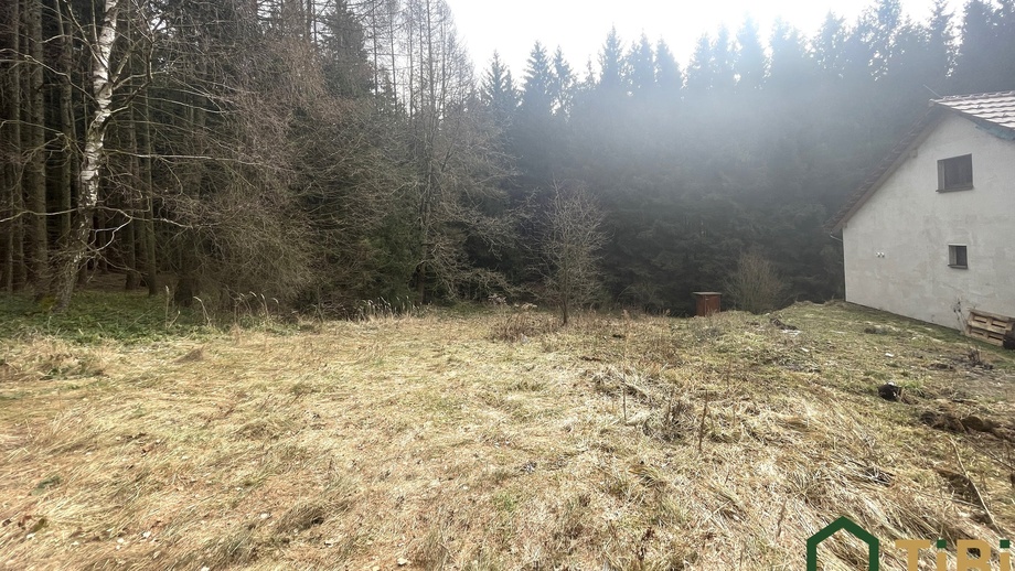 Prodej stavebního pozemku 1 753 m², Gruna - Žipotín