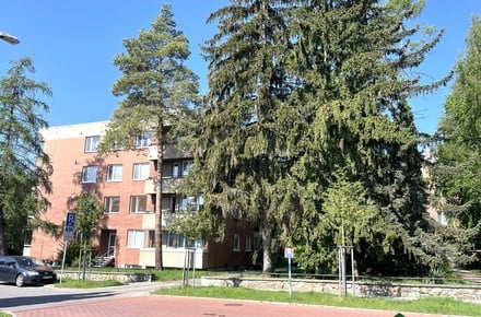 Pronájem bytu 3+1 72 m², Brno - Lesná
