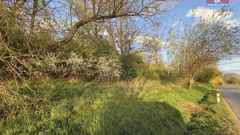 Prodej pole 3 924 m², Bošín