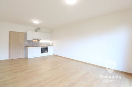 Pronájem bytu 1+kk 37 m², Slaný