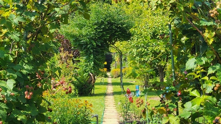 Prodej zahrady 756 m², Moravský Krumlov