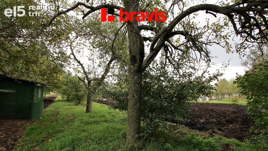 Prodej pozemky - zahrady, 704 m² - Sokolnice