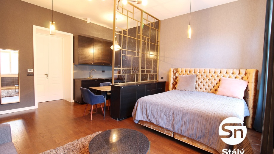 Pronájem bytu 1+kk 41 m², Praha - Vinohrady
