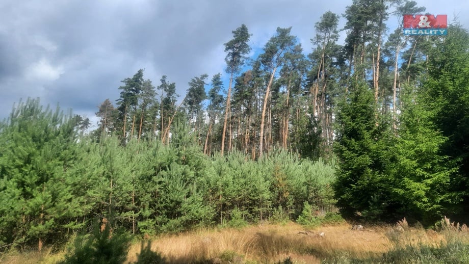 Prodej lesa 108 447 m², Březovice