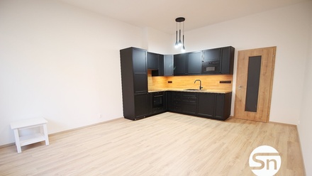 Pronájem bytu 1+kk 46 m², Praha - Řepy