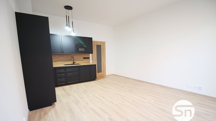 Pronájem bytu 1+kk 46 m², Praha - Řepy