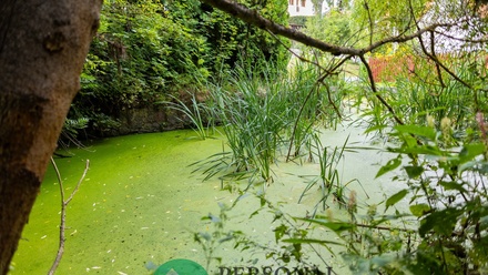 Prodej rodinného domu 307 m², Drhovy - Homole