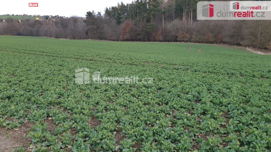 Prodej pole 3 516 m², Dolní Lhota