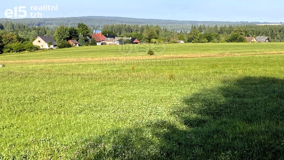 Prodej louky 11 513 m², Škrdlovice