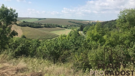 Prodej zahrady 2 052 m², Kobeřice u Brna