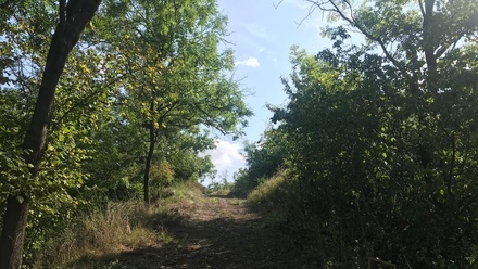 Prodej zahrady 2 052 m², Kobeřice u Brna