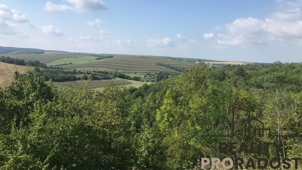 Prodej zahrady 2 052 m², Kobeřice u Brna