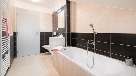 Pronájem bytu 2+kk 55 m², Brno - Maloměřice