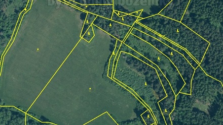 Prodej lesa 33 931 m², Sušice