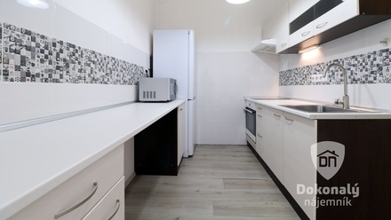 Pronájem bytu 2+kk 47 m², Praha - Nusle